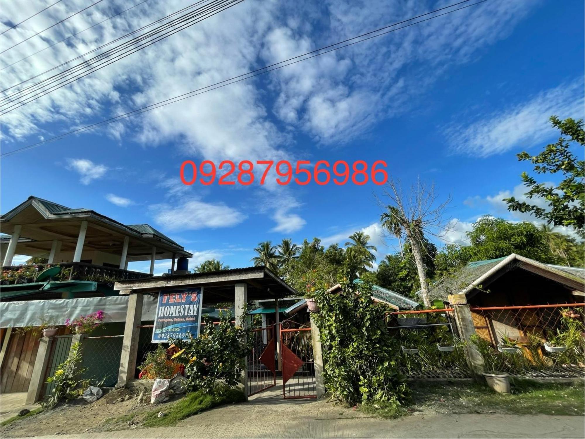 Fely'S Homestay Batuan Buitenkant foto